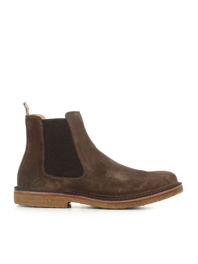 Astorflex Chelsea Bitflex In Brown