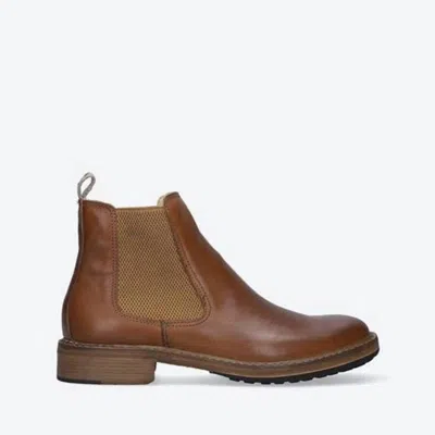 Astorflex Men's Wilflex Chelsea Boot In Brown