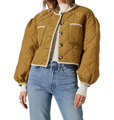 ASTR ACACIA JACKET IN GINGER
