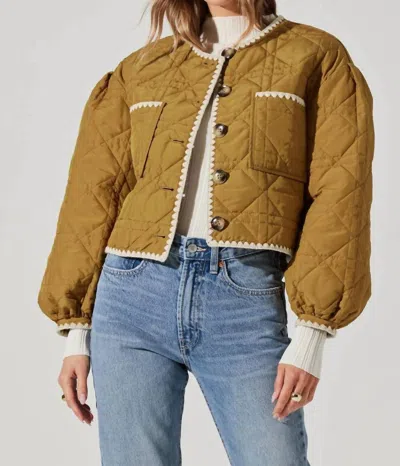 Astr Acacia Puffer Jacket In Ginger In Brown