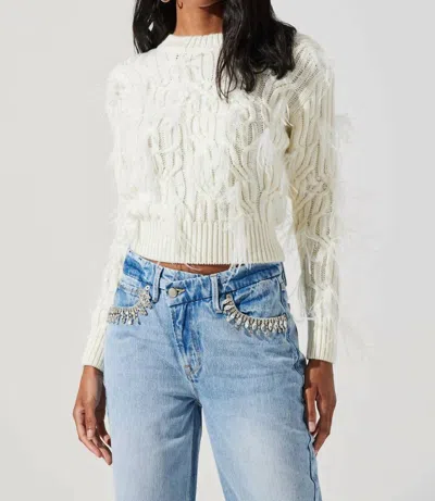 Astr Almeida Feather Cable Knit Sweater In Cream In Metallic