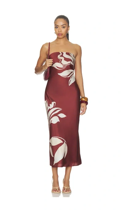 Astr Annabeth Dress In Brown