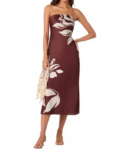 Astr Annabeth Floral Dress In Brown In Burgundy