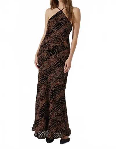 Astr Briotte Dress In Brown