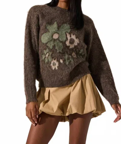 Astr Conetta Knit Pullover Sweater In Brown Green Floral