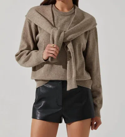 Astr Delrin Sweater In Taupe In Grey