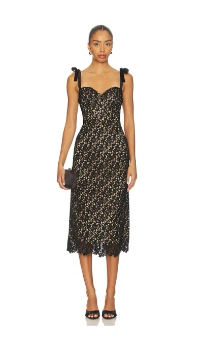 Astr Donne Floral Lace Midi Dress In Black Nude