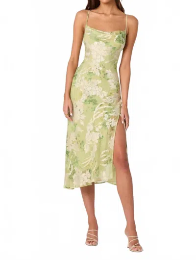 Astr Gaia Burnout Velvet Cowl Midi Dress In Light Green Floral In Multi