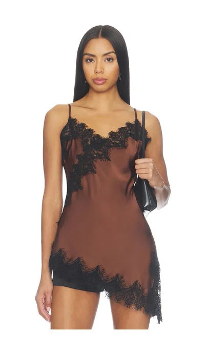 Astr Laura Top In Brown