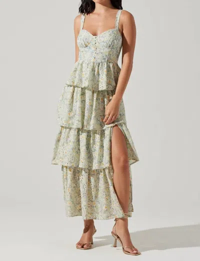 Astr Midsummer Maxi Dress In Light Mint Multi Floral