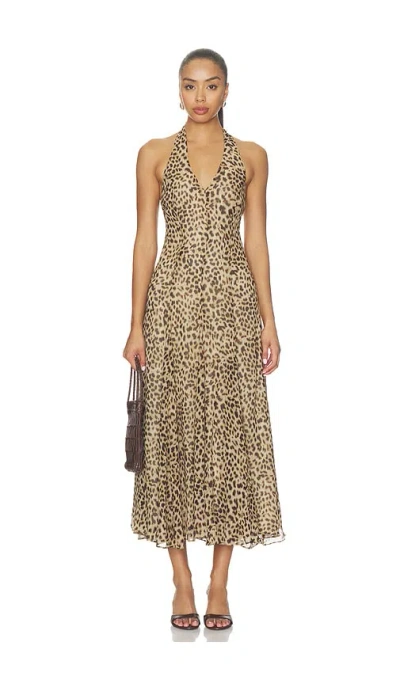 Astr Myra Dress In Animal Print