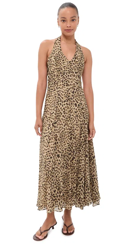 Astr Myra Maxi Dress Cheetah