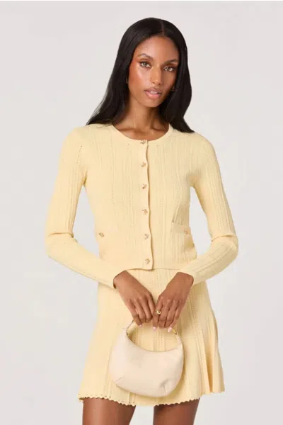 Astr Myrtle Pointelle Knit Cardigan In Buttercolor In Yellow