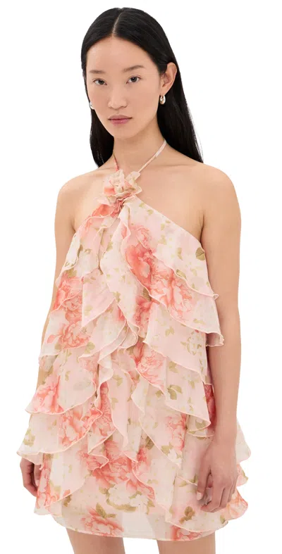 Astr Ofra Dress In Blush Floral