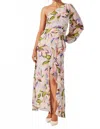 Astr The Label Sandersonia Floral Print Asymmetric Dress In Multi