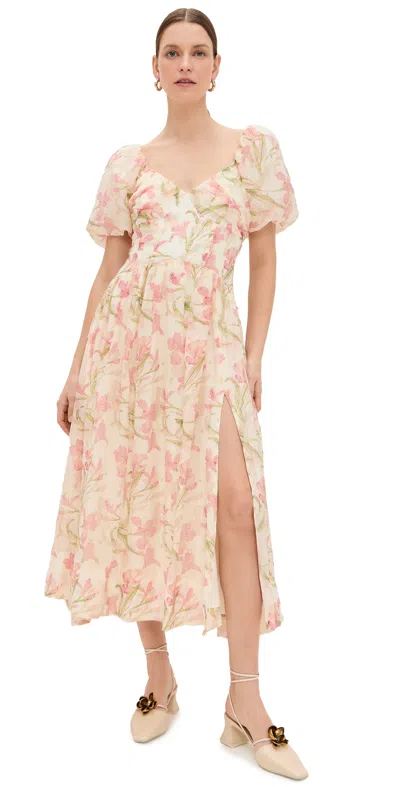 Astr Sasilia Dress Pink Cream Floral