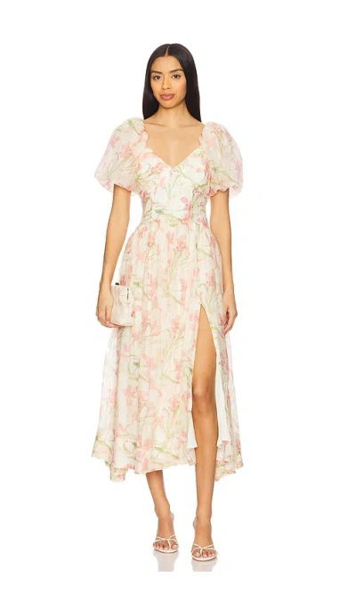 Astr Sasilia Dress In Pink Cream Floral
