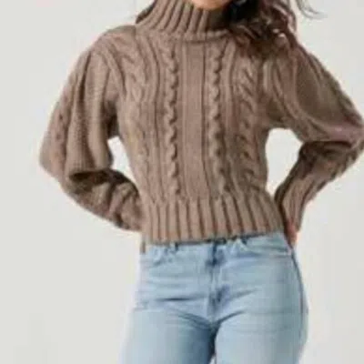 Astr Sweater In Brown