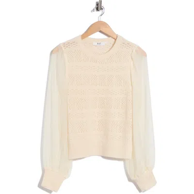Astr The Label Ann Contrast Sleeve Pullover Top In Brown