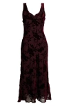 Astr The Label Floris Floral Burnout Velvet Maxi Dress In Brown