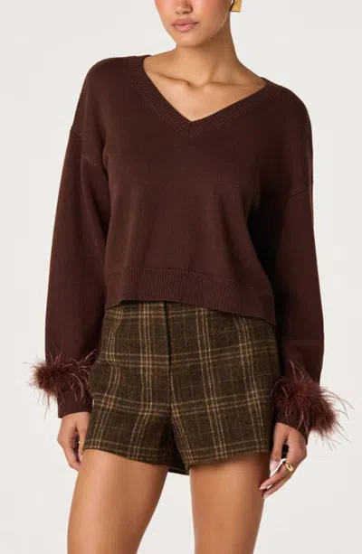 Astr The Label Perdita Feather Trim V-neck Sweater In Brown