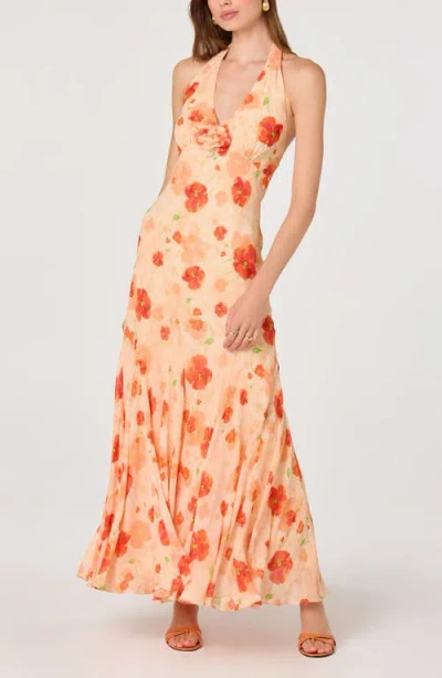 Astr The Label Yasmen Floral Plunge Halter Neck Maxi Dress In Brown