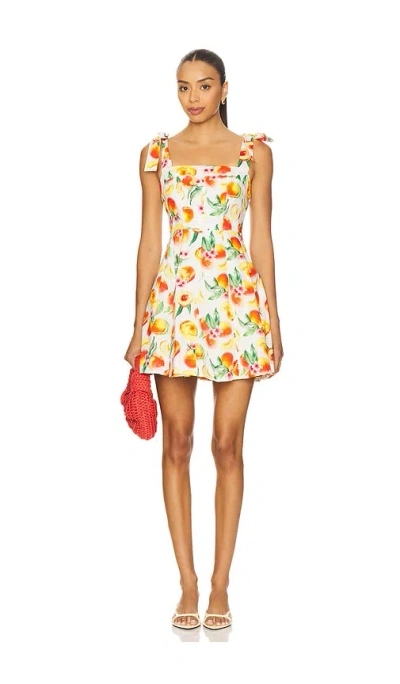 Astr Tinesha Dress
