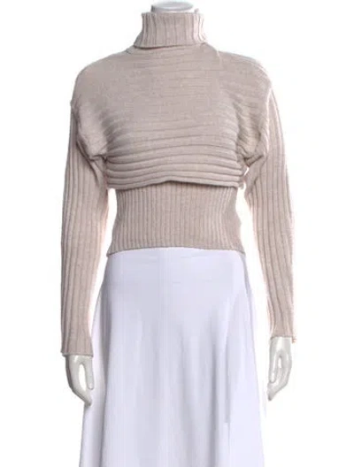 Pre-owned Astr Turtleneck Sweater In Neutrals