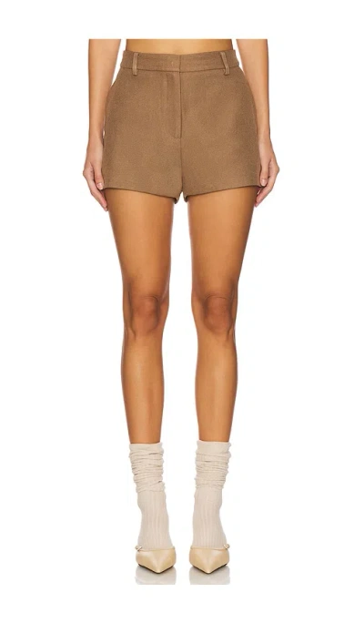 Astr Wynn Shorts In Brown