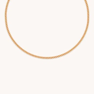Astrid &amp; Miyu Bold Curb Chain Necklace