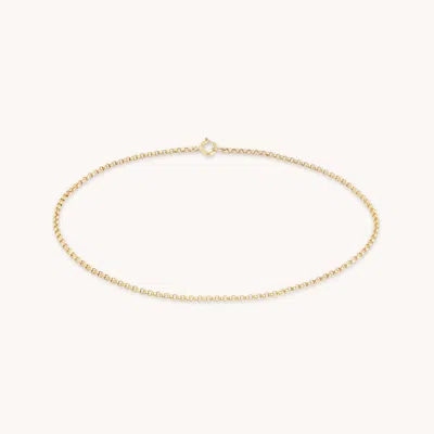 Astrid &amp; Miyu Chelsea Chain Anklet In Solid Gold