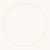 Astrid &amp; Miyu Miyu Chain Necklace In Solid Gold