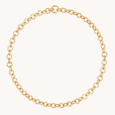 Astrid &amp; Miyu Molten Link Necklace