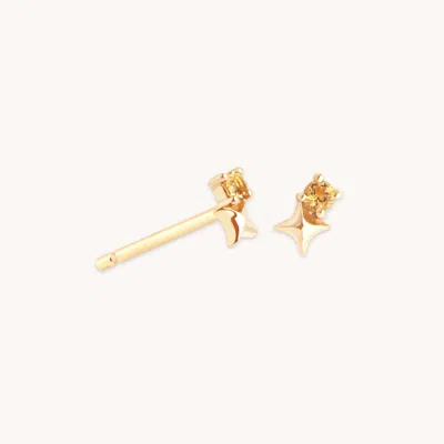 Astrid &amp; Miyu November Birthstone Earrings In Solid Gold