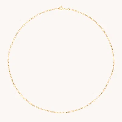 Astrid &amp; Miyu Piccadilly Chain Necklace In Gold