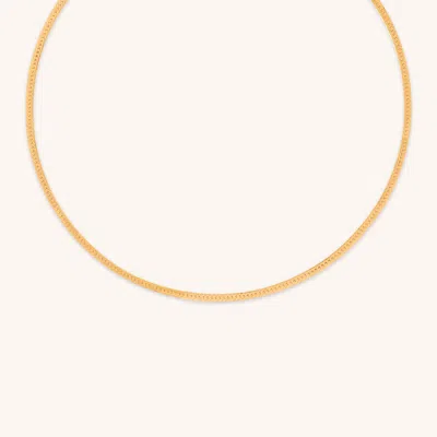 Astrid &amp; Miyu Snake Chain Necklace In Gold
