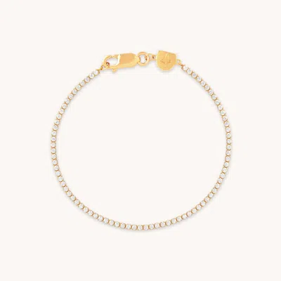 Astrid &amp; Miyu Tennis Bracelet In Gold