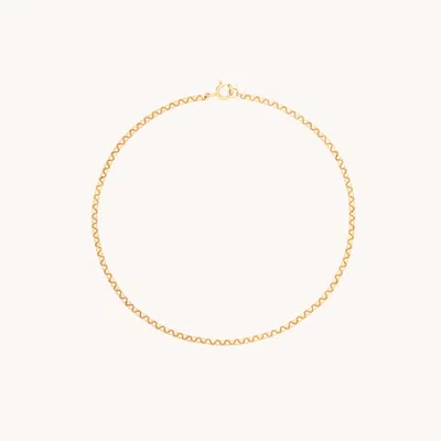 Astrid & Miyu Chelsea Chain Bracelet In Solid Gold