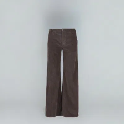 Astrid Women Chord Pant In Chocolate