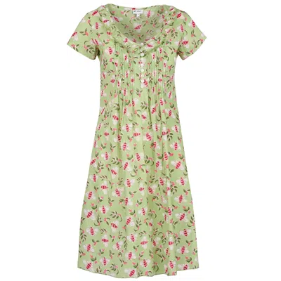 At Last... Women's Green Cotton Karen Short Sleeve Day Dress In Pistachio With Pink Busy Bees