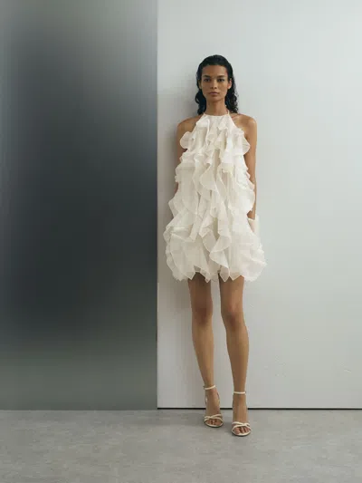 Atelier Silk-organza Ruffle Mini Dress In Neutral