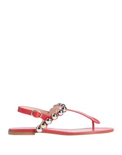 A.testoni Toe Strap Sandals In Red