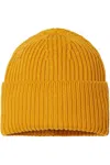 Atlantis Headwear Sustainable Chunky Rib Cuffed Beanie In Multi