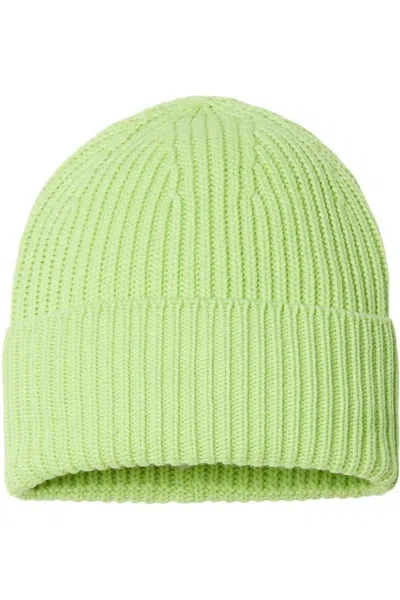 Atlantis Headwear Sustainable Chunky Rib Cuffed Beanie In Multi