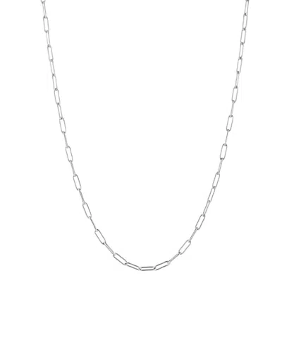 Atolea Cozumel Paperclip Choker In Metallic