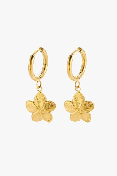 Atolea Sakura Hoops In Gold