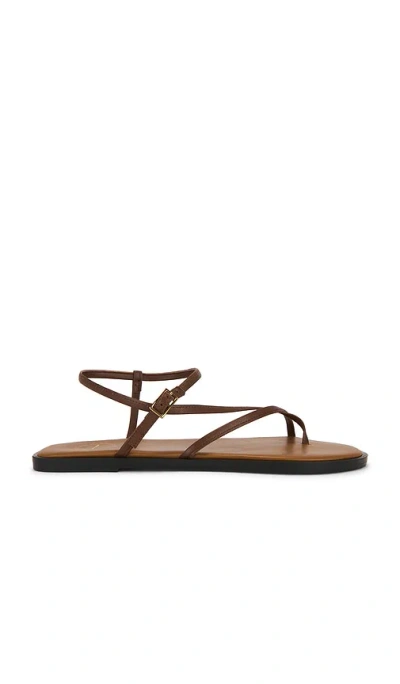 Atp Atelier Capri Sandal In Brown