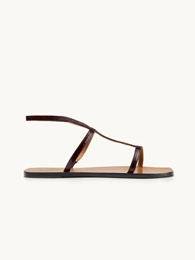 Atp Atelier Delebbio Sandals Walnut It39 In Brown