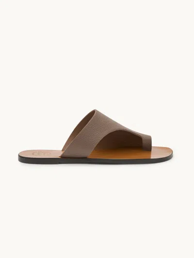 Atp Atelier Rosa Grained Leather Cutout Sandals Tahini It39 In Brown