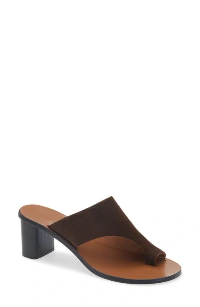 Atp Atelier Rosate Toe Loop Sandal In Brown